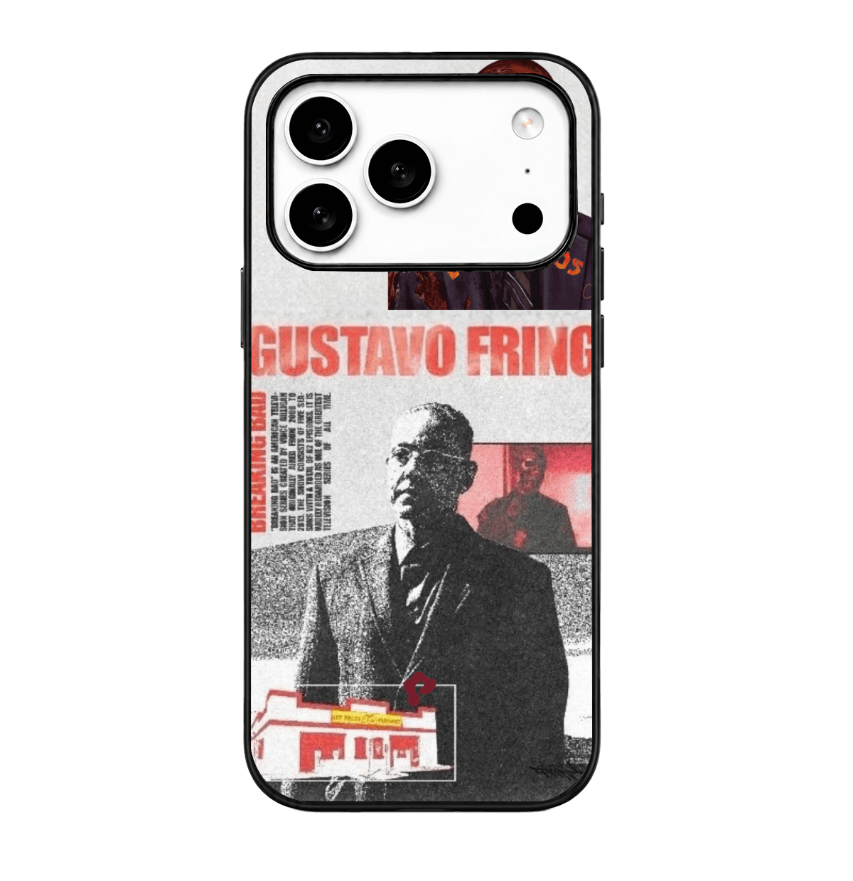 Gustavo Fring Case