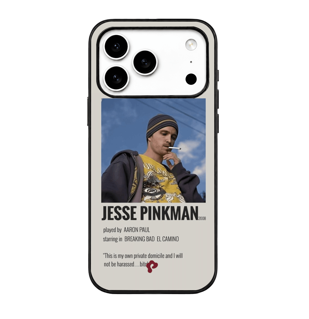 Jesse Pinkman Case