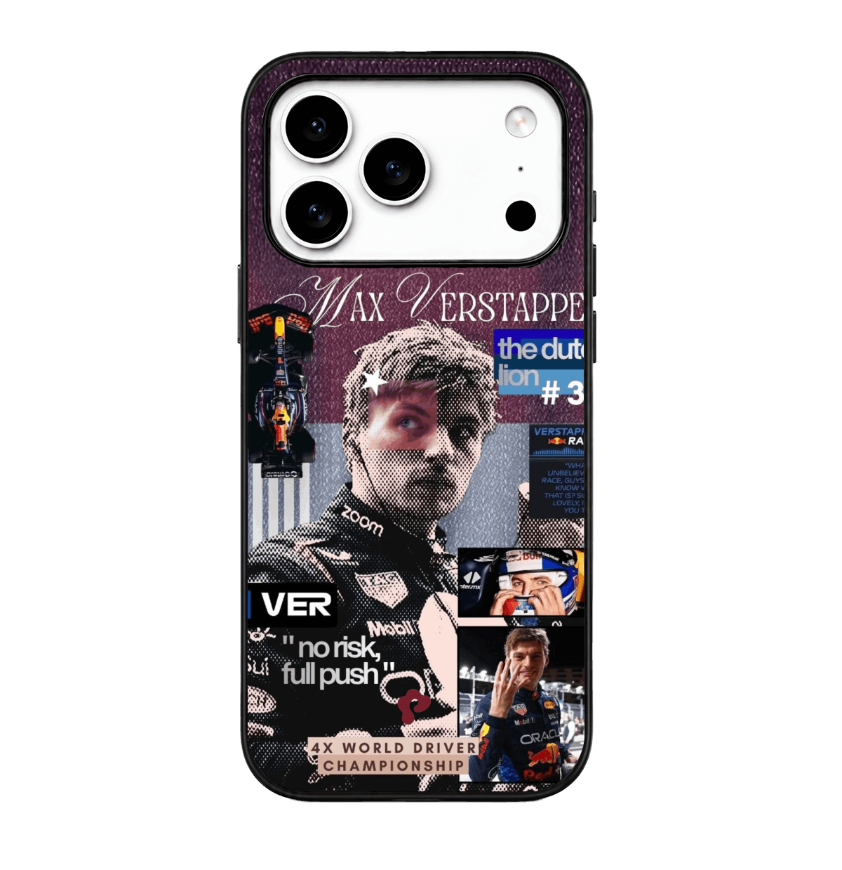 Max Verstappen Case