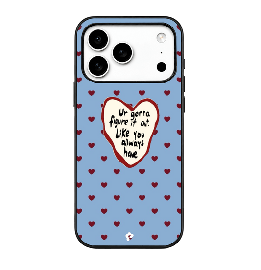Blue Picnic Case