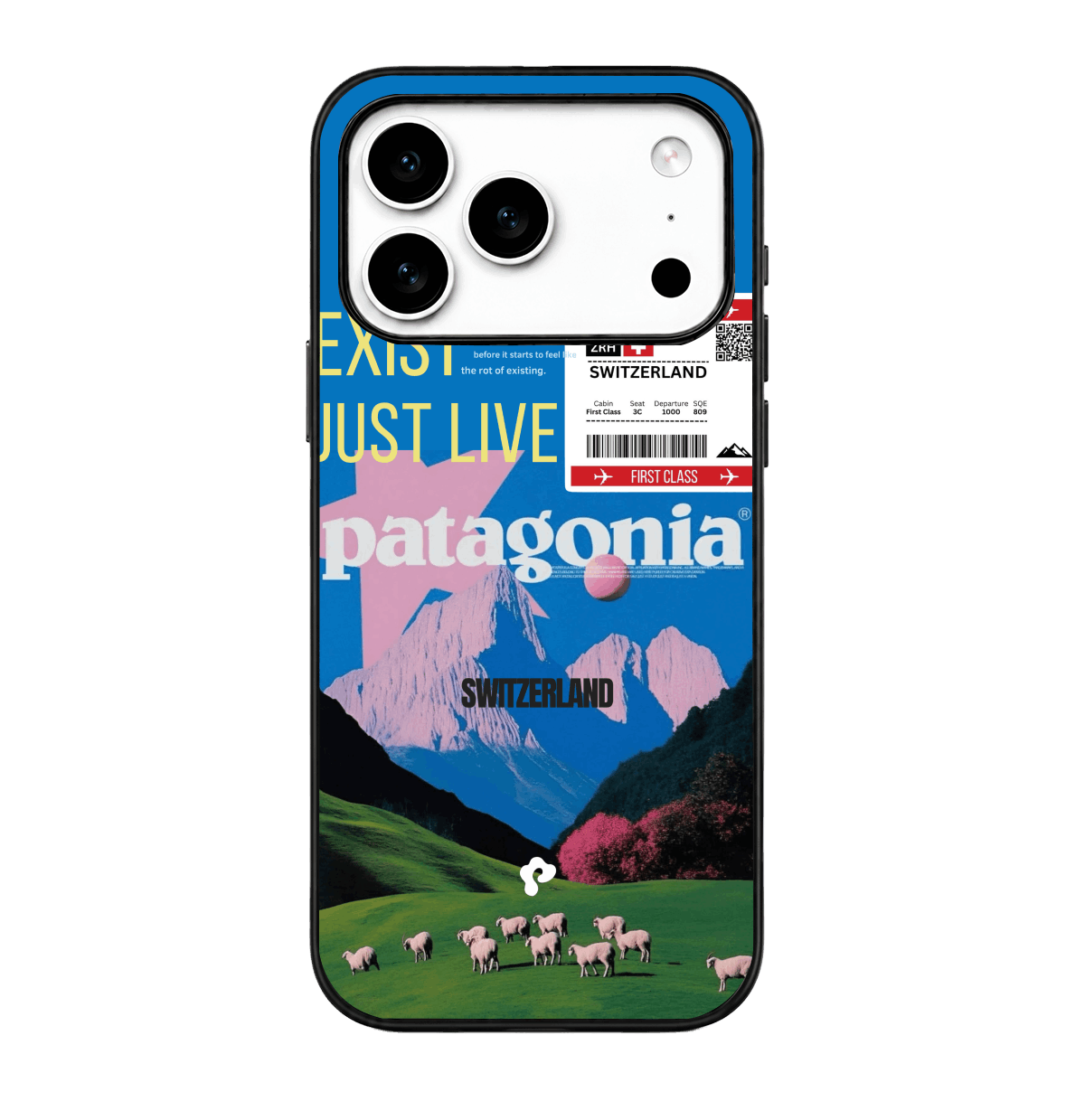 Patagonia Case