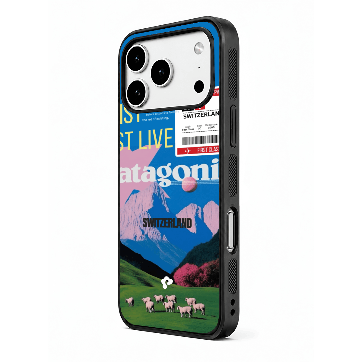 Patagonia Case