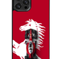 F1 Racing Car Case