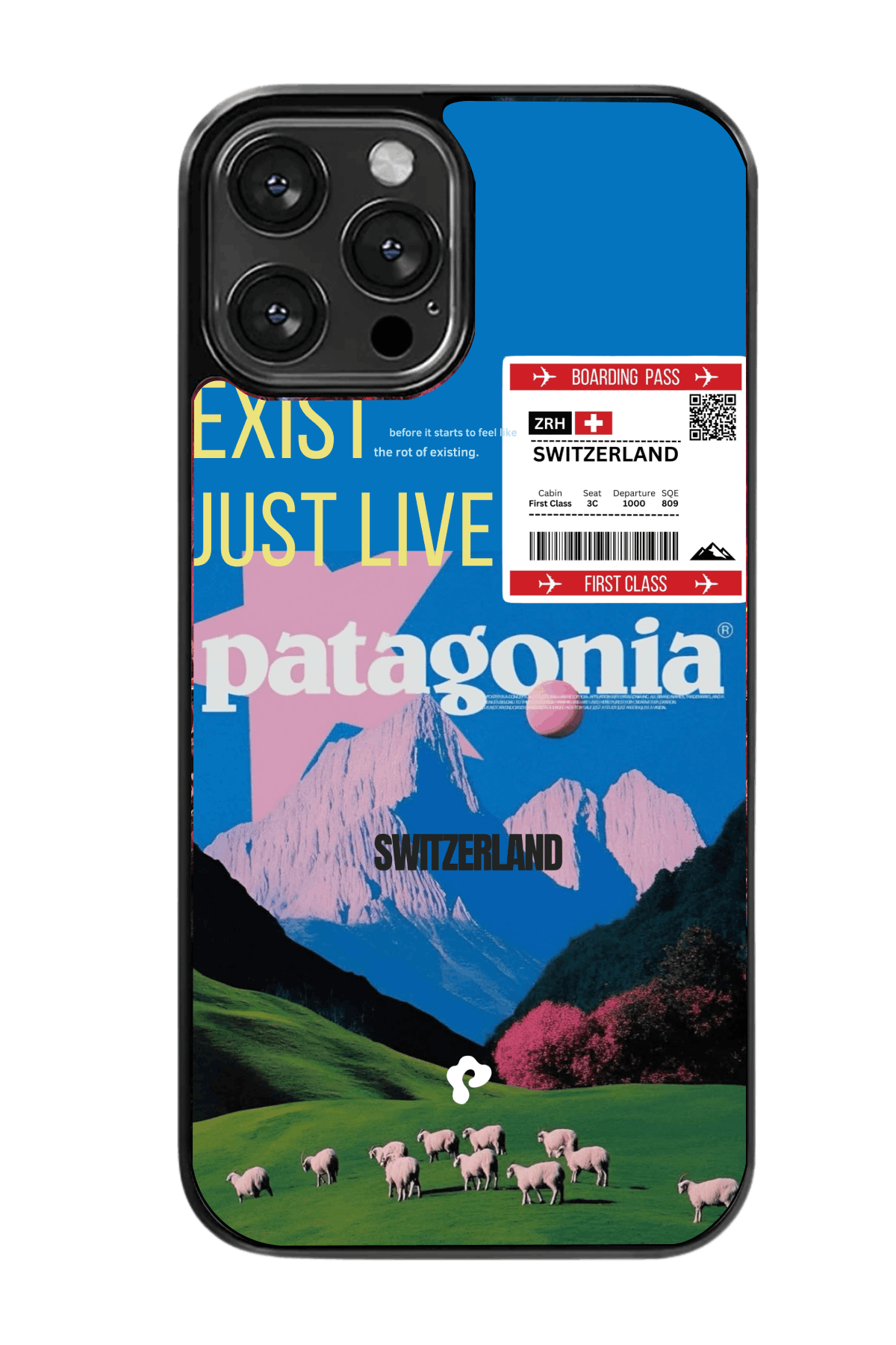Patagonia Case