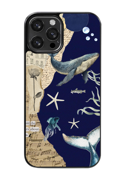 Vintage Ocean Case