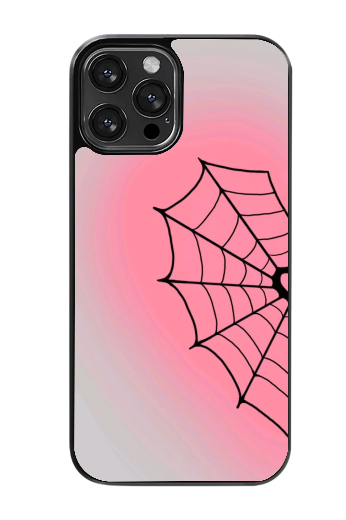 Spider Web Case