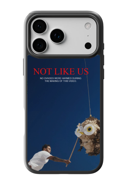 Not Like Us Case