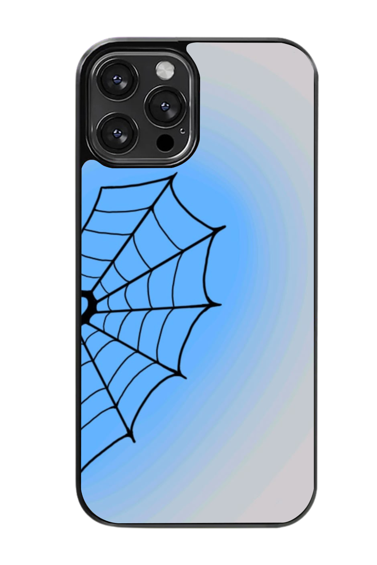 Spider Web Case
