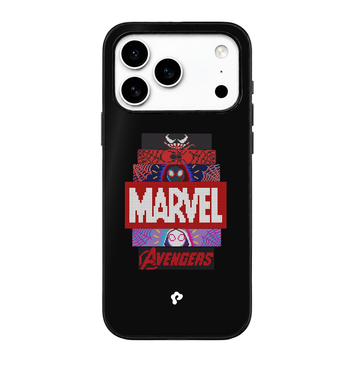 Web-X Case