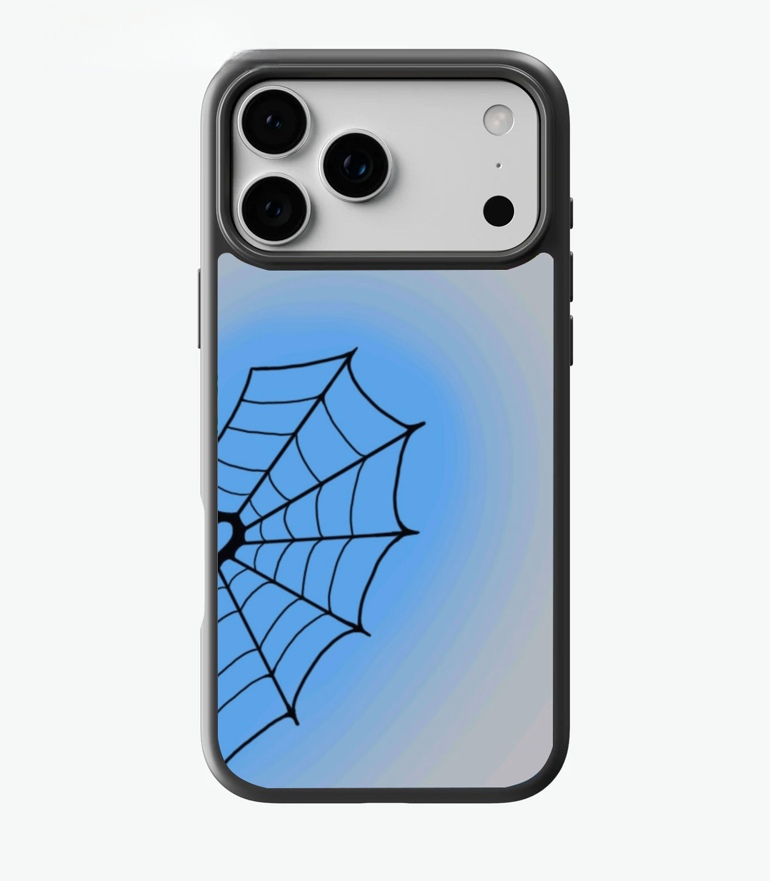 Spider Web Case
